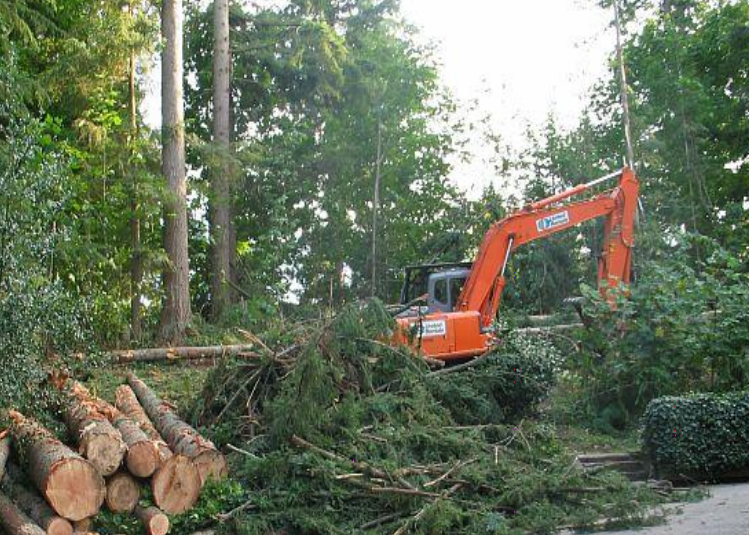 KPO LAND CLEARING